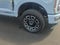 2024 Ford F-250SD Platinum