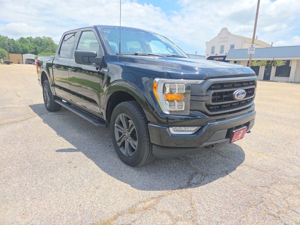 2023 Ford F-150 XLT
