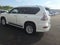 2019 Lexus GX 460