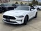 2022 Ford Mustang EcoBoost Premium Convertible