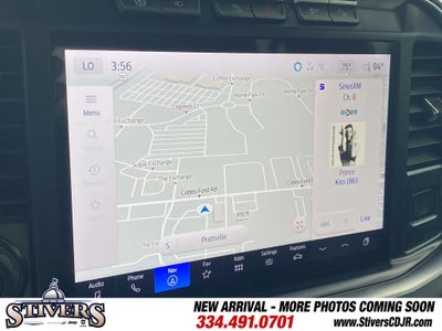 2024 Ford F-250 Platinum