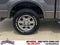 2011 Ford F-150 LARIAT